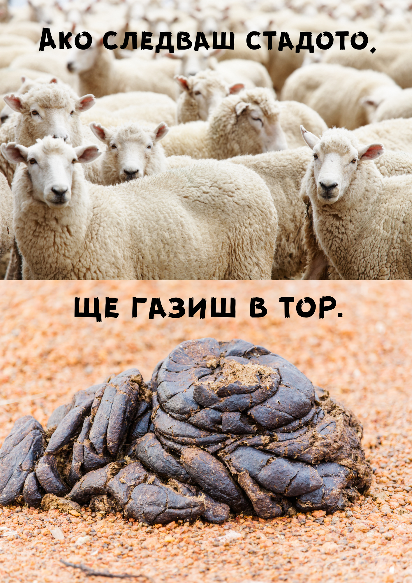 Copy of нев пик картичкиNEW1-50 (2) Ако следваш стадото, ще газиш в тор - Image 1