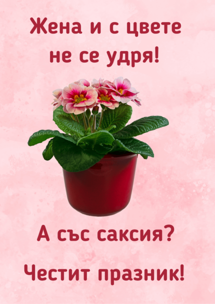 Жена и с цвете не се удря