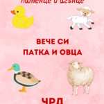 Вече си патка и овца