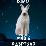 Зайченцето бяло май е одъртяло