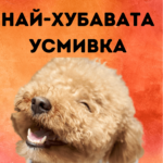 Имаш най-хубавата усмивка