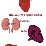 Обичам те с цяло сърце, бъбреци, далак и други дреболии