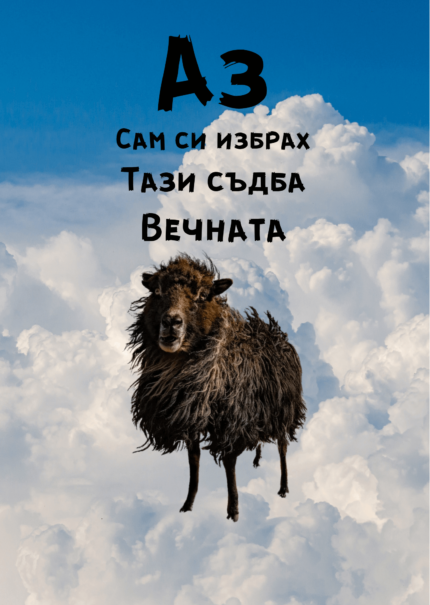 Аз сам си избрах тази съдба