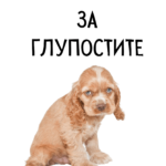 Извинявай за глупостите