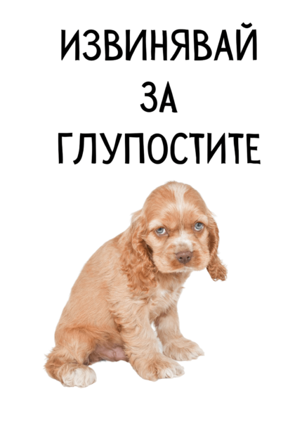 Извинявай за глупостите