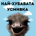 Имаш най-хубавата усмивка