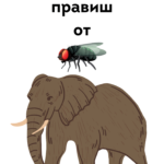 От мухата слон