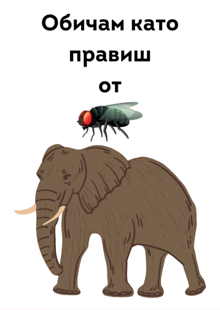 От мухата слон