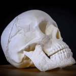 ЧерепЪт - Image 2