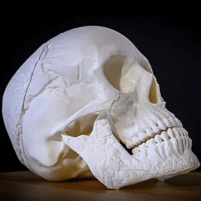 ЧерепЪт - Image 2