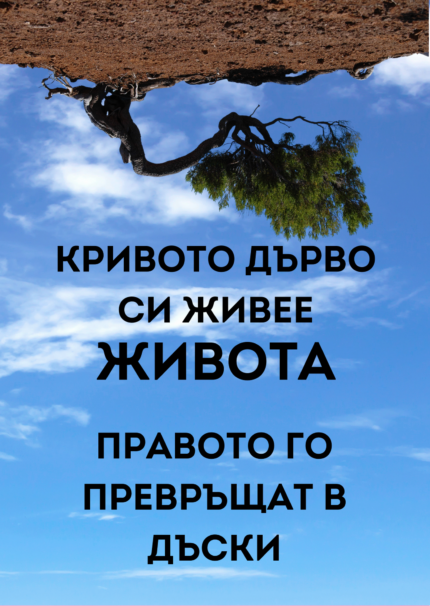 Кривото дърво