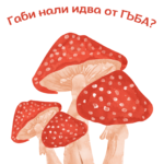 за Габи