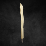 Химикалка кост