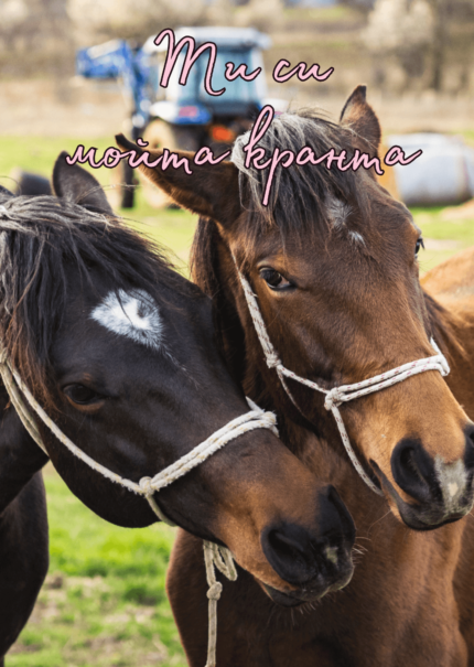 Ти си моята кранта