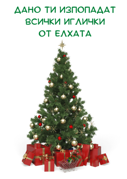 Дано ти изпопадат всички иглички от елхата