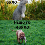 Зайченцето бяло нещо го изяло