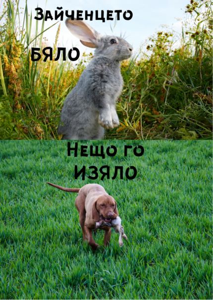 Зайченцето бяло нещо го изяло