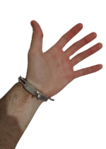 Гривна белензница - Image 5