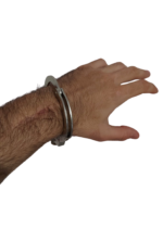 Гривна белензница - Image 2